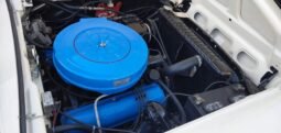 
										1959 Ford Galaxie Skyliner full									