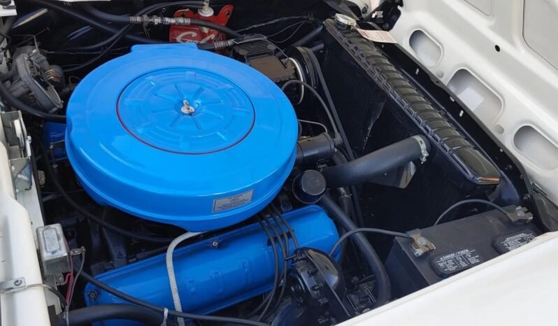 
								1959 Ford Galaxie Skyliner full									