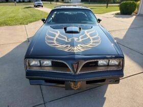 1977 Pontiac Firebird Trans AM SE V8