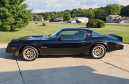 1977 Pontiac Firebird Trans AM SE V8
