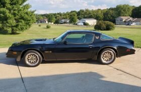 1977 Pontiac Firebird Trans AM SE V8