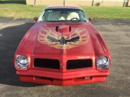 1976 Pontiac Firebird Trans AM