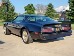 1977 Pontiac Firebird Trans AM SE V8