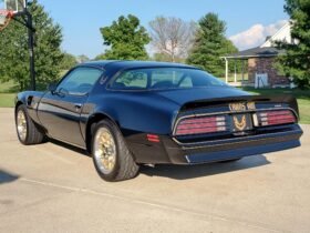 1977 Pontiac Firebird Trans AM SE V8