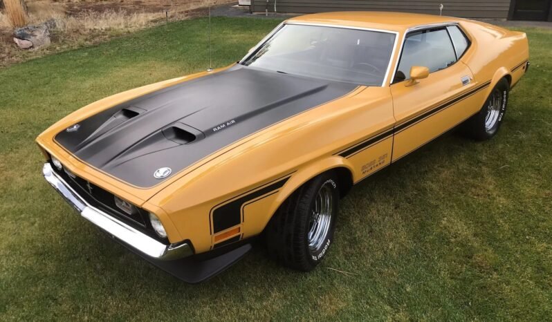 
								1971 Ford Mustang Boss full									