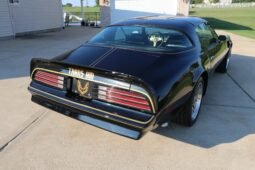 1977 Pontiac Firebird Trans AM SE V8
