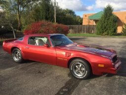1976 Pontiac Firebird Trans AM