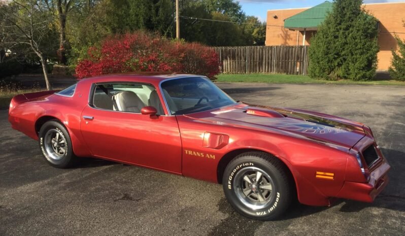 
								1976 Pontiac Firebird Trans AM full									