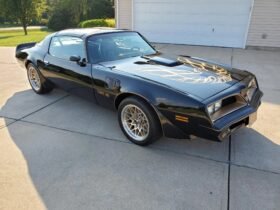 1977 Pontiac Firebird Trans AM SE V8