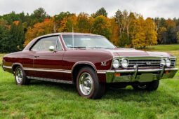 
										1967 Chevrolet Chevelle SS396 Sport Coupe full									