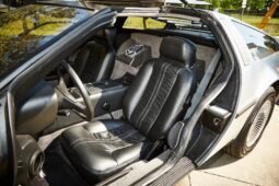 
										1981 DeLorean DMC-12 V6 Brushed Stainless Steel full									