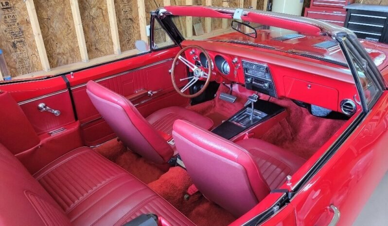 
								1967 Chevrolet Camaro RS/SS Convertible full									