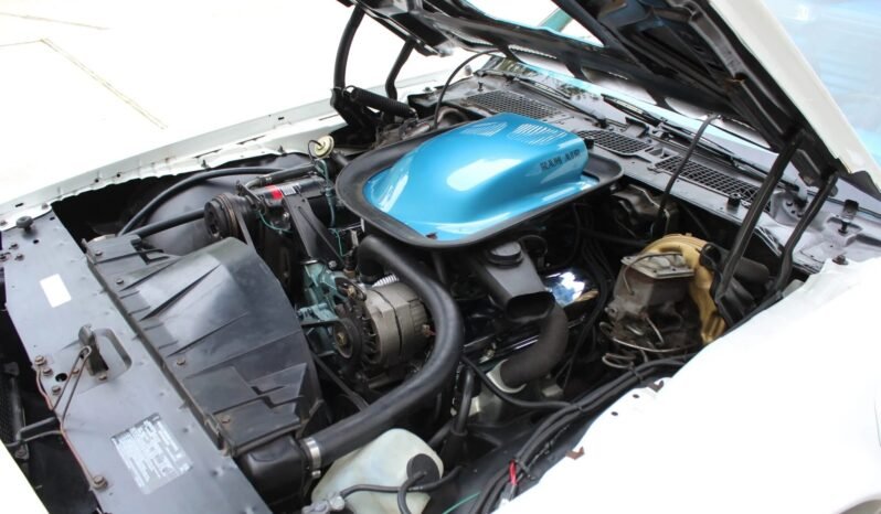 
								1970 Pontiac Firebird 400 Trans AM full									