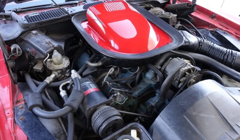 
								1974 Pontiac Firebird Trans AM Super Duty full									