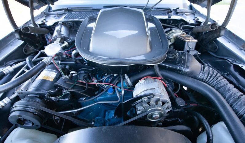 
								1979 Pontiac Firebird Trans AM 10th Anniversary Edition full									