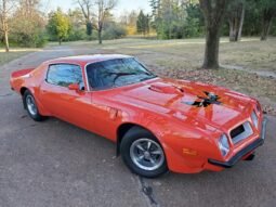 1974 Pontiac Firebird Trans AM Super Duty