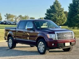 2009 Ford F-150 Platinum