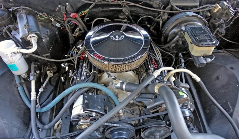 
								1981 Chevrolet K5 Blazer Silverado full									