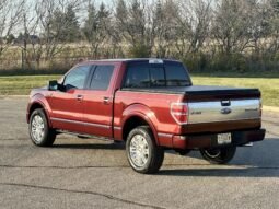 2009 Ford F-150 Platinum