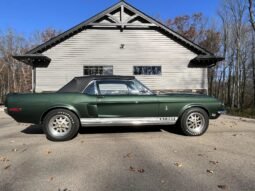 1968 Shelby Mustang GT350